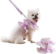 pumyporeity harness princess costume outdoor dogs logo