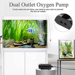 img 3 attached to AQQA Dual Outlet Aquarium Air Pump, 3.5W 5W Oxygen Pump with 2 Air Stone, Adjustable Air Valve for Quiet Bubbles - Suitable for Up to 160 Gallon Fish Tanks