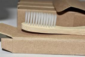 img 1 attached to Revolutionary Oral Care: Biodegradable Toothbrushes with Hope Leaf Bristles