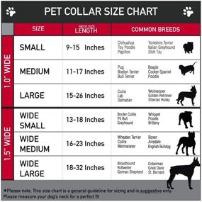 img 2 attached to Buckle Down Seatbelt Buckle Dog Collar Dogs : Training & Behavior Aids