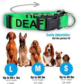 img 2 attached to 🐾 Native Pup Deaf Dog Collar with Hard of Hearing Alert