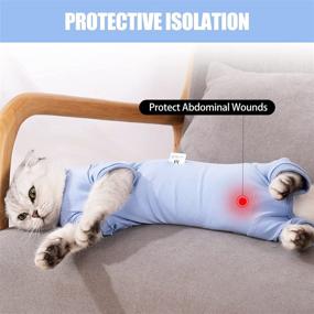 img 3 attached to 🐱 Premium Cat Recovery Suit: Pet Post-Surgery Wear for Abdominal Wounds - Onesie for Cats, Cone E-Collar Alternative