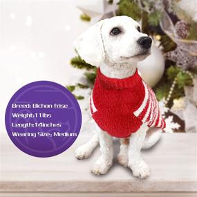 img 2 attached to 🎅 Cyeollo Classic Striped Christmas Santa Claus Holiday Dog Sweater - Perfect for Medium Dogs!