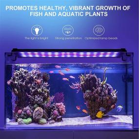 img 3 attached to AQQA Aquarium Lights: Fish Tank LED Light with Extendable Brackets - Waterproof Full Spectrum Blue Red White LEDs & External Timer Controller for Freshwater Planted Tanks (18W, 18"-24")