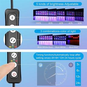 img 2 attached to AQQA Aquarium Lights: Fish Tank LED Light with Extendable Brackets - Waterproof Full Spectrum Blue Red White LEDs & External Timer Controller for Freshwater Planted Tanks (18W, 18"-24")