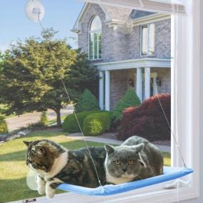 img 4 attached to Sturdy And Safe Window Cat Hammock With Heavy Duty Suction Cups For Resting And Perching, Holds Up To 30Lbs, Plus 2 Extra Suction Cups Included - NOYAL