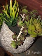 img 1 attached to Supla Pack of 6 Assorted Artificial Succulents Plant Picks - Textured Faux Succulent Stems, Fake Succulent Bouquet, String of Pearls for Faux Succulent Floral Arrangement Accent review by Brian Messerly