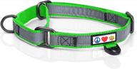 reflective martingale dog collar for training and behavioral improvement - green puppy to large dog collar by pawtitas logo