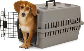 img 2 attached to 🏠 Petmate Traditional Kennel: Secure and Comfortable Shelter for Pets