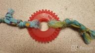 img 1 attached to Petstages Catnip Dental Chew Wheel Toy For Cats review by Chris Barreto