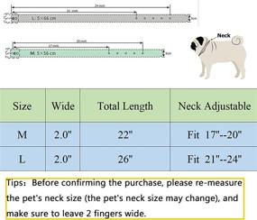 img 1 attached to Studded Mastiff Rottweiler Pitbull Labrador