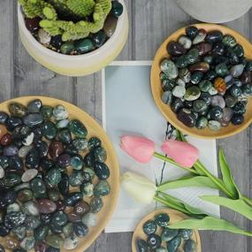 img 2 attached to 🪨 NINGYE 1.1lbs Decorative Round Pebbles Rocks - Natural Agate Stones for Plants, Home Décor, and Outdoor Landscaping