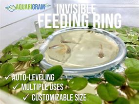 img 3 attached to 🐠 Invisible Auto-Leveling Feeding Rings for Floating Plant Aquariums and Fish Tanks (Large 8" Feeding Ring + 2.5" Feeding Ring)