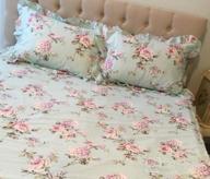 img 1 attached to Queen Size FADFAY 4-Piece Shabby Pink Rose Floral Print Cotton Bedding Set With Ruffles And Bedskirt - Farmhouse Style review by Anna Lopez