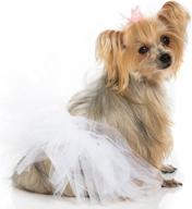 🐾 stunning large white tulle tutu for dogs or cats by pawpatu logo