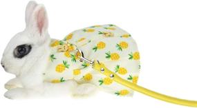 img 2 attached to Adorable Rabbit And Guinea Pig Harness With Leash Set - Perfect For Teacup Yorkies, Mini Dogs And Cats. Dress Your Bunny In Milk Yellow Small Animal Apparel (Medium Size Pack Of 1).