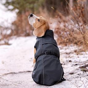 img 1 attached to 🐾 LUCOLOVE SmartHeat Reflective Dog Winter Coat - Waterproof, Lightweight Extra Warmth for Cold Weather