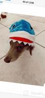 img 1 attached to Mogoko Funny Dog Cat Shark Costumes, Pet Halloween Christmas Cosplay Dress, Adorable Grey Shark Pet Costume, Animal Fleece Hoodie Warm Outfits Clothes (XL Size) review by Amy Thompson