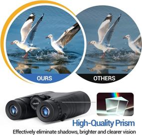 img 1 attached to Premium 10X42 Binoculars For Adults: Lightweight, Waterproof & Perfect For Outdoor Adventures!