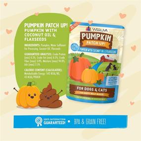 img 1 attached to Weruva Pumpkin Patch Up! - The Ultimate Pumpkin Pouches for Happy Dogs & Cats