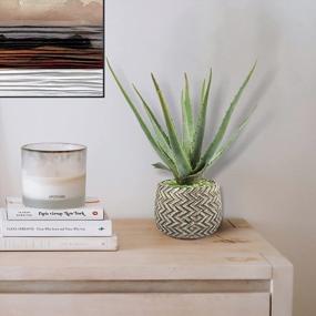 img 2 attached to Ferrisland'S Realistic Aloe Plant: Large Artificial Succulent In Antique Cement Pot For Home Or Office Decor, 14 Inches Tall
