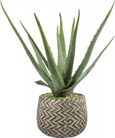 img 4 attached to Ferrisland'S Realistic Aloe Plant: Large Artificial Succulent In Antique Cement Pot For Home Or Office Decor, 14 Inches Tall