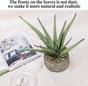 img 3 attached to Ferrisland'S Realistic Aloe Plant: Large Artificial Succulent In Antique Cement Pot For Home Or Office Decor, 14 Inches Tall