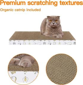 img 2 attached to PatiencET Scratcher Reversible Scratch Scratch