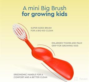 img 2 attached to 👍 Approved Children's RADIUS Toothbrush: Designed for Effective Oral Care