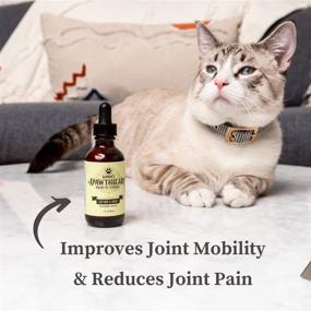 img 3 attached to Sophies Apawthecary Glucosamine Supplement Flexibility