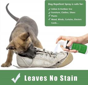 img 3 attached to 🐶 Dog & Puppy Anti Chew Spray - Training Aids, Deterrent for Scratching & Biting, Safe on Furniture, Shoes, Plants - No Chew Spray