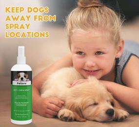 img 1 attached to 🐶 Dog & Puppy Anti Chew Spray - Training Aids, Deterrent for Scratching & Biting, Safe on Furniture, Shoes, Plants - No Chew Spray