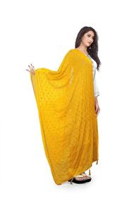 img 3 attached to 🎀 Woman's Embroidered Chiffon Dupatta: Elegant Wedding Accessory from Scarves & Wraps