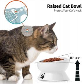 img 3 attached to Elevated Cat Water Bowl - Ceramic Raised Tilted Feeder Prevents Vomiting, Perfect For Small Dogs & Fat Faced Cats (White)