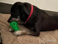 img 1 attached to Indestructible Dental Chew Toys For Large Breed Dogs By Ronton - 100% Natural Rubber, Ideal For Aggressive Chewers, Promotes Oral Care And Squeaky Fun review by Marcia Davis