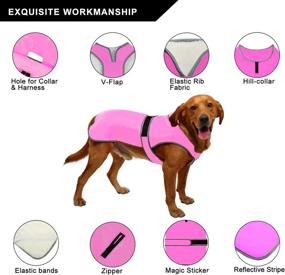 img 1 attached to ❄️ Stay Warm and Visible: MIGOHI Reflective Waterproof Windproof Dog Coat for All-Weather Protection