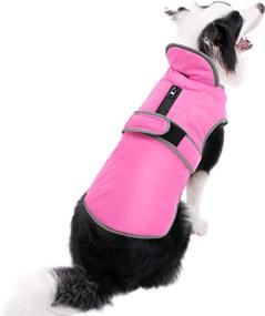 img 4 attached to ❄️ Stay Warm and Visible: MIGOHI Reflective Waterproof Windproof Dog Coat for All-Weather Protection