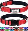 personalized red nylon dog collar with engraved name plate - perfect for large dogs | joytale logo