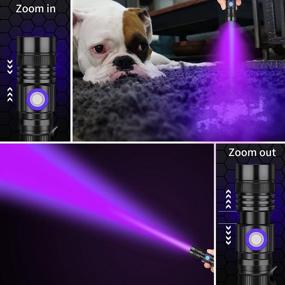 img 3 attached to DARKBEAM UV Flashlight 395Nm Blacklight Rechargeable USB, Wood'S Lamp Ultraviolet Black Light Handheld LED Portable With Clip, Resin Curing, Anti-Counterfeit, Detector For Pet Dog Urine, 2 Pack