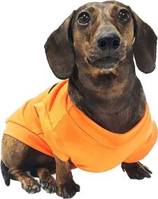 img 2 attached to Adorable XXX-Large Midlee Pumpkin Face Dog 🎃 Shirt Costume: Premium Quality Halloween Dress-Up for Big Dogs