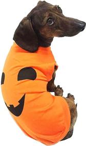 img 3 attached to Adorable XXX-Large Midlee Pumpkin Face Dog 🎃 Shirt Costume: Premium Quality Halloween Dress-Up for Big Dogs