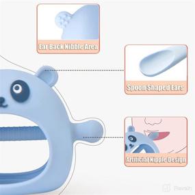 img 3 attached to 🐻 Премиум силиконовые игрушки для зубов для детей от 0 до 12 месяцев - набор из 4-х медвежат-пустышек и зубочисток