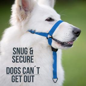 img 3 attached to Dog Head Collar - Soft & Comfortable, Ultra-Secure Seatbelt Material Harness. No Choking Or Pulling. Easy To Steer For Safe Walks (Blue, 1)