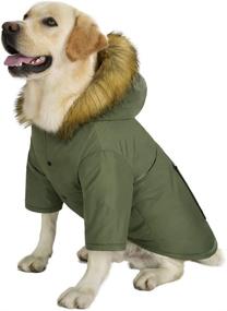 img 3 attached to Miaododo Large Dog Winter Waterproof Down Jacket Hoodie Coat - Reflective and Warm Clothes for Medium to Big Dogs - Thickly Padded with Real Pocket