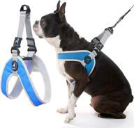 🐾 blue gooby simple step iii harness - medium, small dog vest harness with scratch resistant outer layer - soft inner mesh harness for small to medium dogs logo