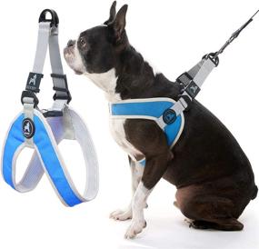 img 4 attached to 🐾 Blue Gooby Simple Step III Harness - Medium, Small Dog Vest Harness with Scratch Resistant Outer Layer - Soft Inner Mesh Harness for Small to Medium Dogs