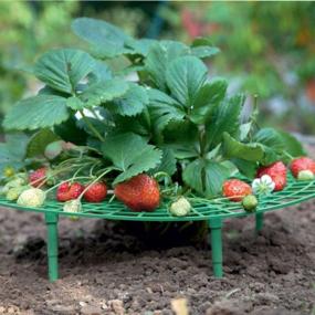 img 3 attached to VIMOA 5 Pack Strawberry Plant поддерживает опору для стебля, клетки для виноградной лозы, зеленые