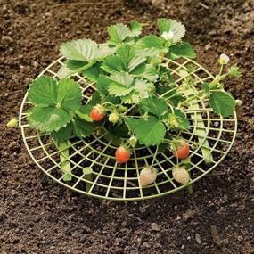 img 1 attached to VIMOA 5 Pack Strawberry Plant поддерживает опору для стебля, клетки для виноградной лозы, зеленые