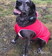img 1 attached to Waterproof Reflective Winter Dog Jacket With Reversible Stormguard, Windproof Coat For Cold Weather, Warm Coat Vest For Small, Medium, Large Dogs - Red (Size S) By MIGOHI review by Sean House