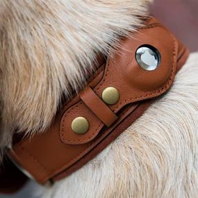 img 2 attached to SUOHU Genuine Leather AirTag Dog Collar Holder - Apple AirTag Dog Collar for Medium and Large Dogs - Waterproof and Adjustable with GPS Tracking - Brown